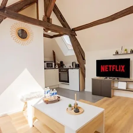 Le Nid Troyen - Gare - Hypercentre - New Cosy - Rent Immo Troyes