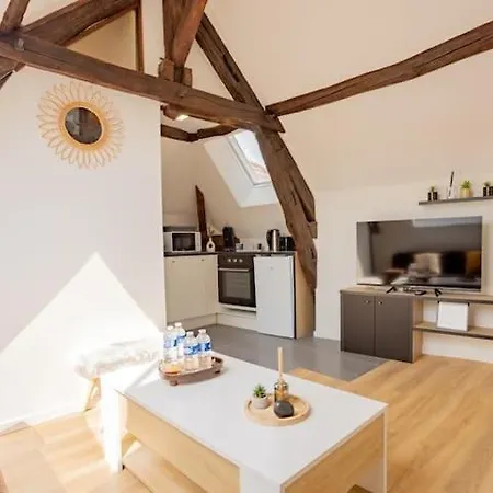 Le Nid Troyen - Gare - Hypercentre - New Cosy - Rent Immo Lägenhet