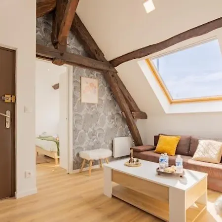 Le Nid Troyen - Gare - Hypercentre - New Cosy - Rent Immo *