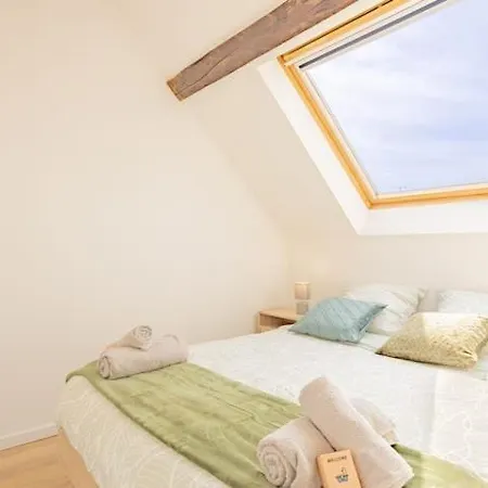 Le Nid Troyen - Gare - Hypercentre - New Cosy - Rent Immo Lägenhet Troyes